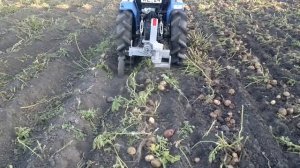 копка картошки минитрактором