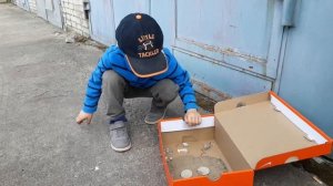 Строю домик для муравьев