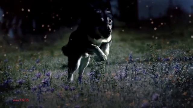 Omar Akram - Surrender смотреть онлайн