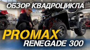 Полный ОБЗОР квадроцикла PROMAX RENEGADE 300 от мотоцентра X-MOTORS🔥