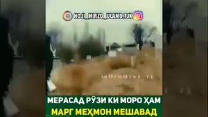 Мерасад рузеки моро марг мехмон мешавад 😞хонаи ободи мо он руз вайрон мешавад 😢