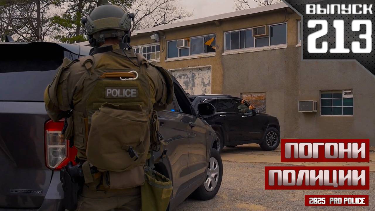Полицейские погони: Два пилота [Выпуск 213 2025]