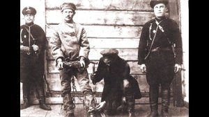 Песня на стихи Сергея Есенина "В том краю, где желтая крапива".