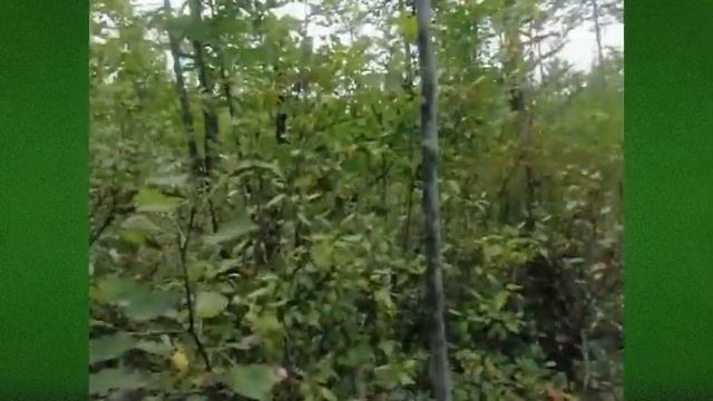 ГОРИН 2013 г ИЗЫСКАНИЯ ДАЛЬГИПРОТРАНС Футаж+Фон 30 смотреть онлайн