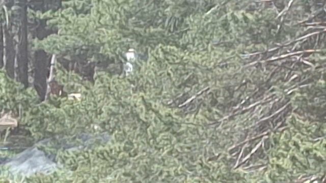 ЧТО Страшное Я Обнаружил у себя около дома Когда решил Просто Открыть окно на Третьем Этаже смотреть онлайн