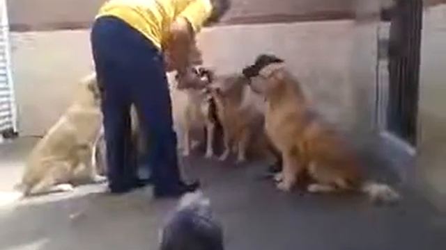 Вот она настоящая сила воли смотреть онлайн