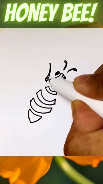 STEP BY STEP HONET BEE SKETCH смотреть онлайн