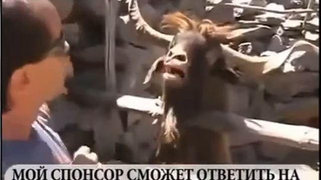 Упорный дистрибьютор смотреть онлайн