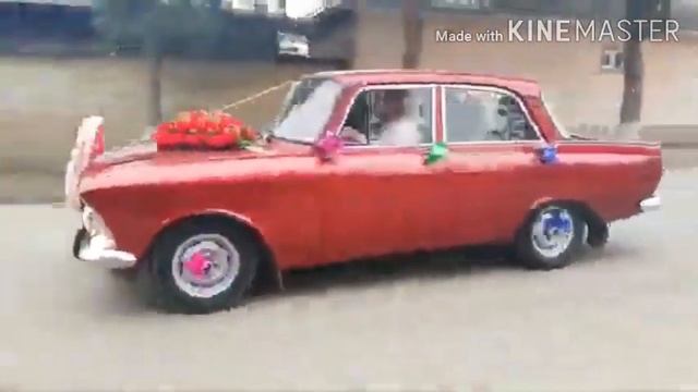 Туй дар ёвон мошина бин смотреть онлайн