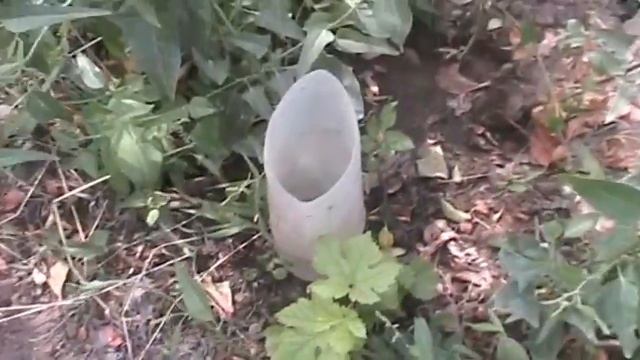 Спасительный способ полива винограда и не только смотреть онлайн