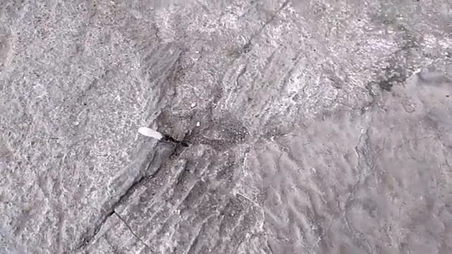 Journey of An Ant - from London to Paris смотреть онлайн