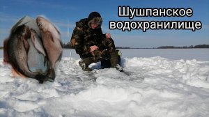 ШУШПАНСКОЕ ВОДОХРАНИЛИЩЕ//ТАМБОВСКАЯ ОБЛАСТЬ*поймал подлещика*