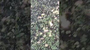 Что будет если нагреть гранит. Разогретый камень.