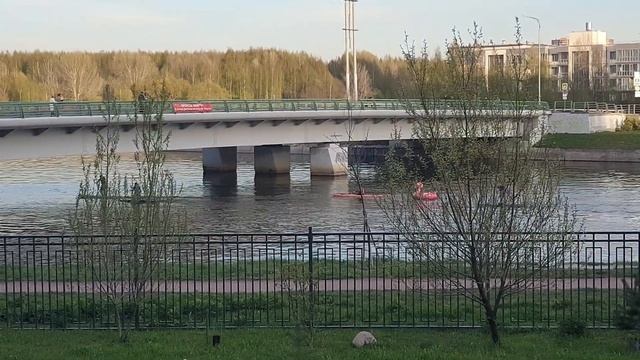 Розовый Фламинго, дитя заката😁👍13 мая
