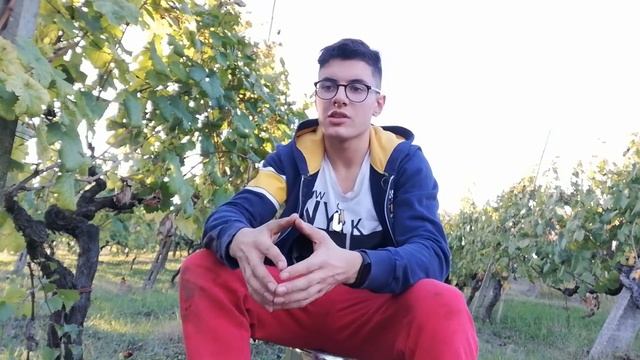 i diversi tipi di SOMATOTIPO(e tu quale sei?) смотреть онлайн