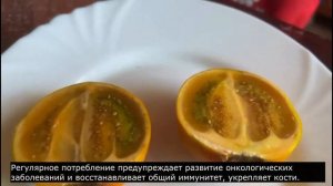 Пенсионерка пробует деликатесы: наранхилла