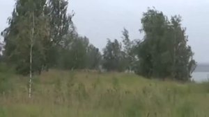 БИ 19 ПОЛИГОН