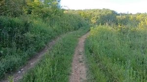 Красивое село в Закарпатье-Обживаемся на новом месте, продолжаем исследовать наше село и окрестност
