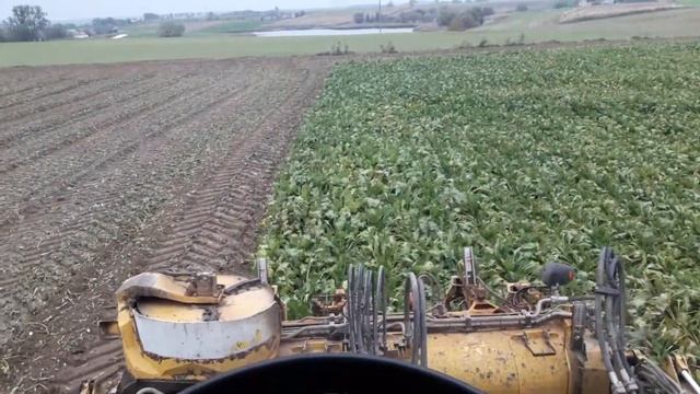 Ropa Eurotiger 8v4 смотреть онлайн