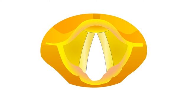 පූසන් පුරු පුරු ගාන්නේ කොහොමද? ඒ ඇයි? How and Why Do Cats Purr? смотреть онлайн