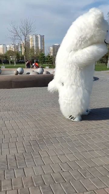 Белый медведь - не только милый и пушистый зверь, но и отличный танцор! смотреть онлайн