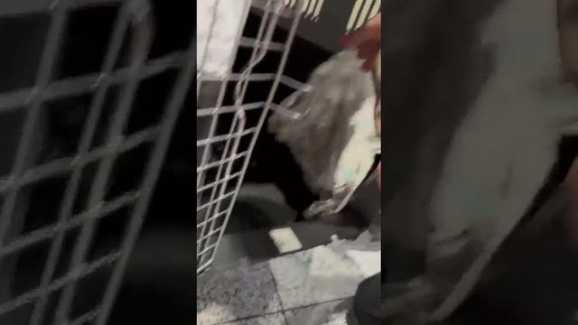 Сын Локо и Урсы улетает в Хабаровск. Родители прилетели в Москву его встретить