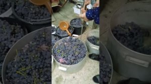 как можно перемолоть, помять, пожать, быстро виноград.