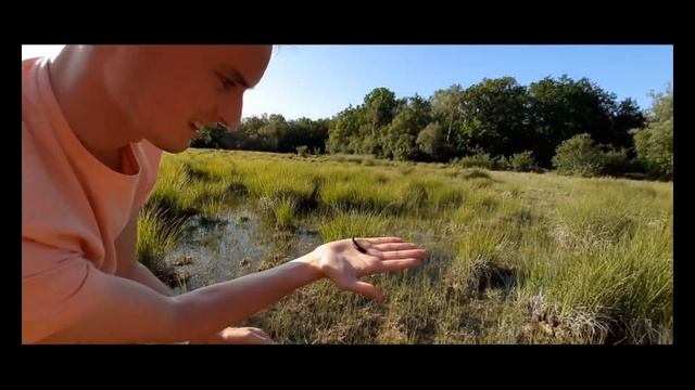 Maskar på jobbet: Blodigeln смотреть онлайн