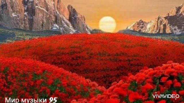 старая чеченская песня 2005 год