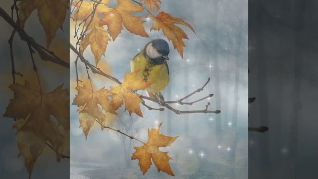 Ветошь из тумана смотреть онлайн