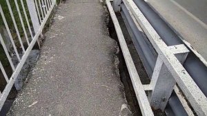 Камыши в Новотитаровской