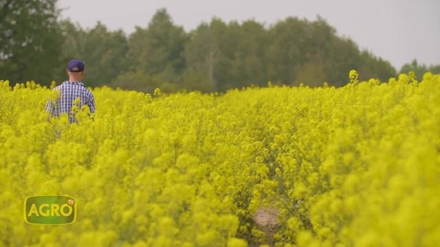 Colza y camelina: la apuesta de Bunge para crecer con los Biofuels (#1045 2023-08-19) смотреть онлайн