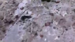 Горловка Озеряновка наша!