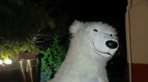 Саша с днём Рождения