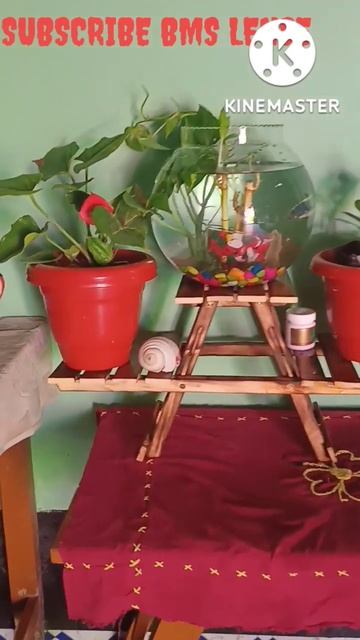 Table top aquarium setup. #shorts, #bmslense, @bmslivestockfarm3161 смотреть онлайн