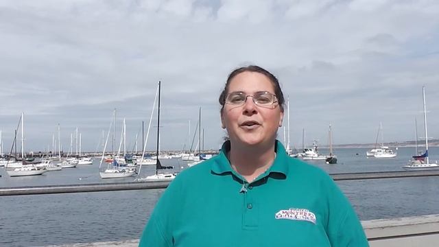 Year Round Whale Watching | Monterey Bay смотреть онлайн