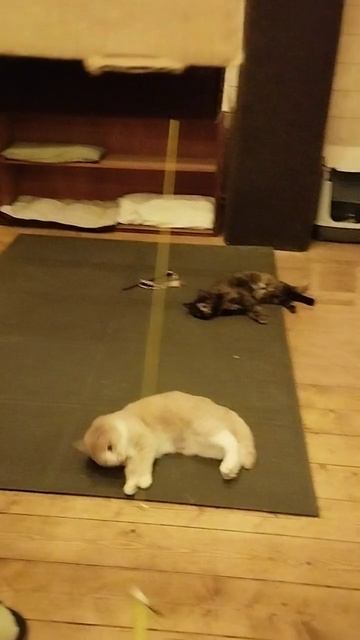 23-02-2025 смотреть онлайн