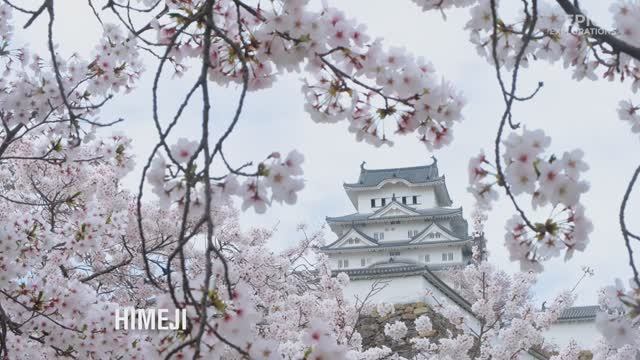 Чудеса Японии | Самые удивительные места Японии | Путеводитель в формате 4K