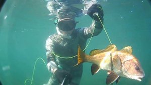Подводная охота. Чёрное море.