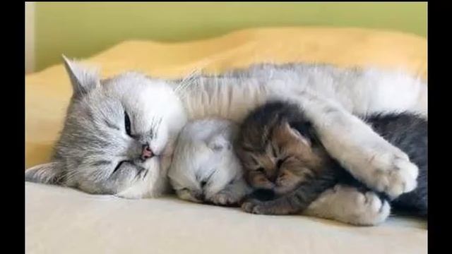 Песня снова день снова ночь. смотреть онлайн