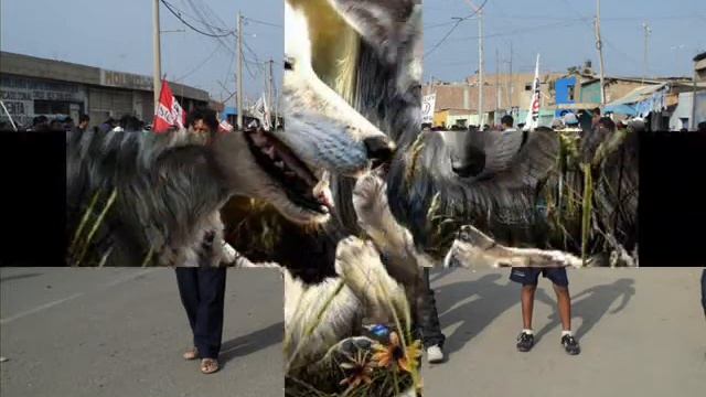 centella señor de los cielos смотреть онлайн