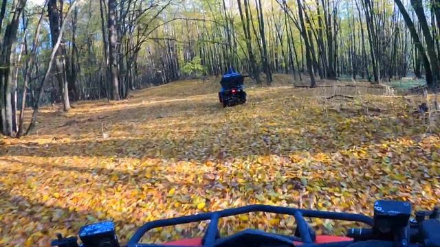 ОСЕННИЙ ЛЕСНОЙ СЕРПАНТИН / ЗА ОПЯТАМИ смотреть онлайн