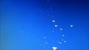 Мой  фильм  НИКОЛАЕВСКИХ  СТАЯ