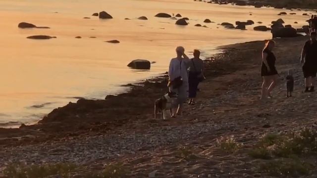 Закат на Таллинском заливе в Меривялья. смотреть онлайн