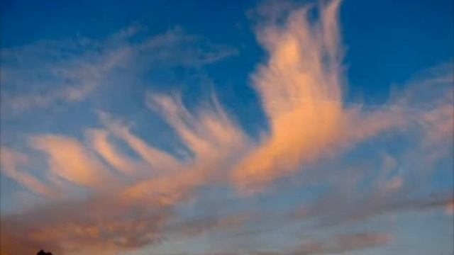 Раиса Нур - Гуси смотреть онлайн