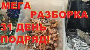 Мега разборка 31 день подряд! Месячник расхламления! Разбор электроники!