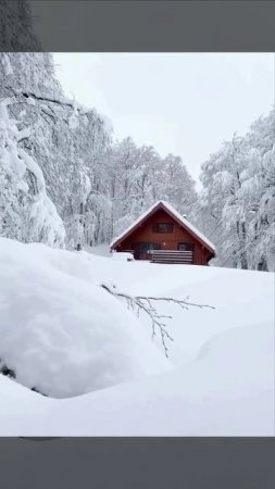 Лес Ирати – самая крупная буковая роща Европы, Франция