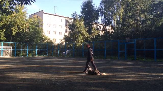 Эри. Сит-леж близко смотреть онлайн