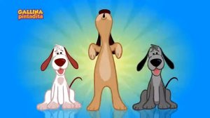 Perro amigo Kids princess iris