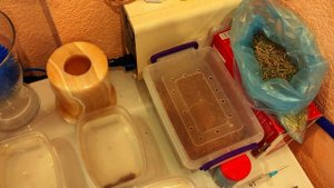 ПРИМЕНЕНИЕ ПЕРЕКИСИ ВОДОРОДА В АКВАРИУМЕ. "Ну что, похимичим?😏"